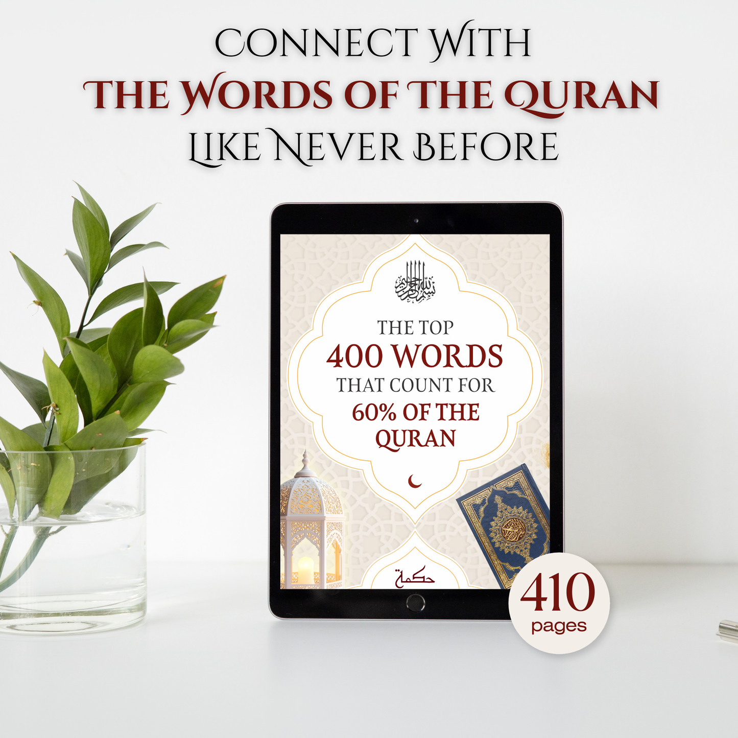 Top 400 Words That Count For 60% Of The Quran + BONUSES