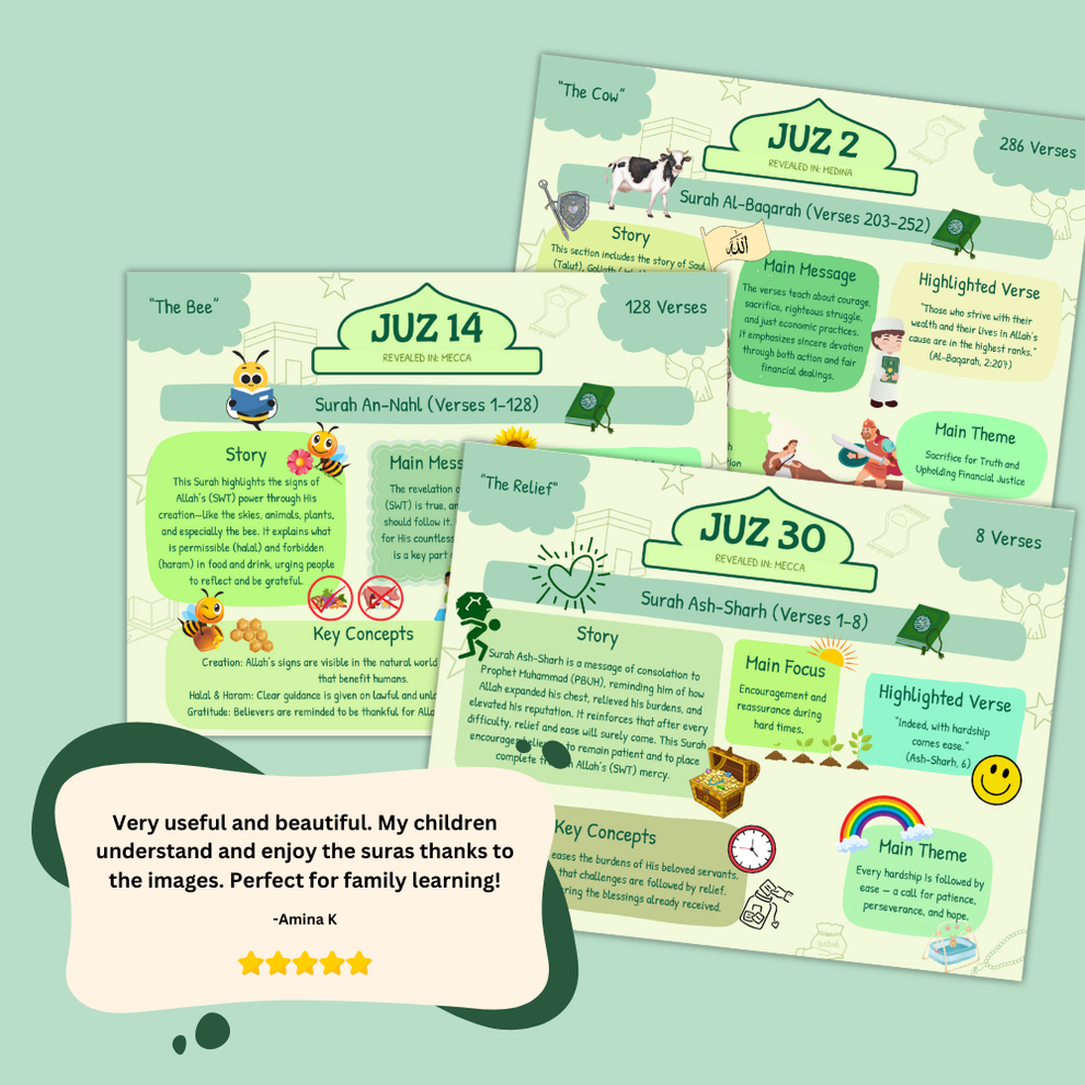 Quran made simple & illustrated - V1 & V2 + BONUSES   ( E-BOOK ONLY)